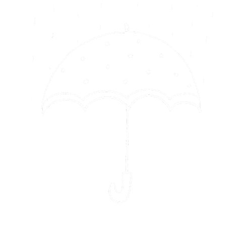Rain Sticker