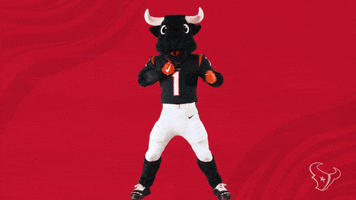 Nfl Mascot GIF by Houston Texans Nfl Mascot GIF by Houston Texans