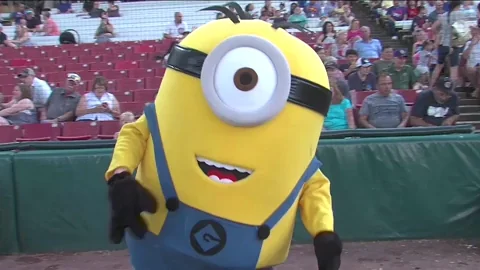 Minions Dancing GIF by Kane County Cougars