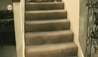 200.gif