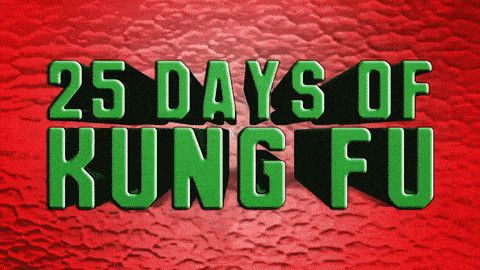 25 days of kung fu