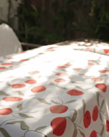 Ay fidela! GIF