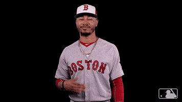 Red Sox No GIF by MLB