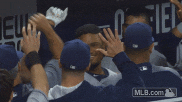 san diego padres GIF by MLB