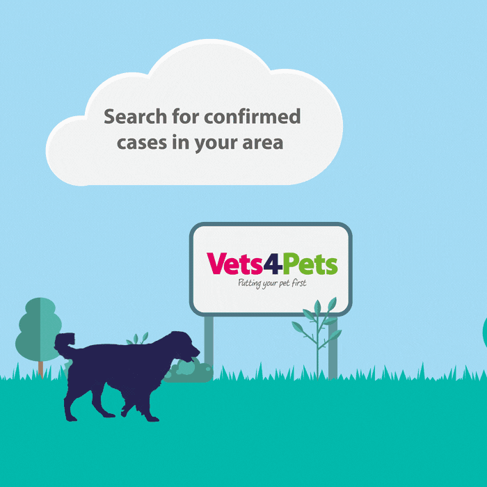 Dogs Vets4Pets GIF