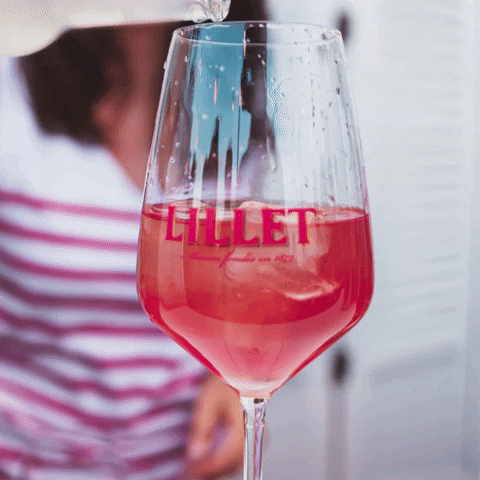 Cheers Lillet GIF by lilletofficial