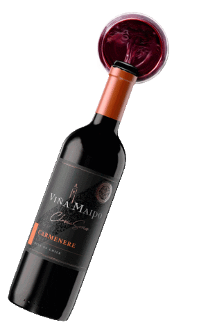 Maipo Vinos Sticker