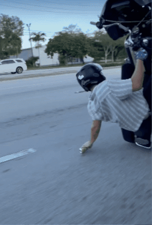 Tea Time Harley GIF by Onlywheelies