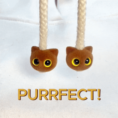 Fashion Style GIF by Hoodie Charms