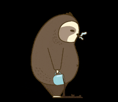 oliviagabriellach sloth slothy boboo GIF