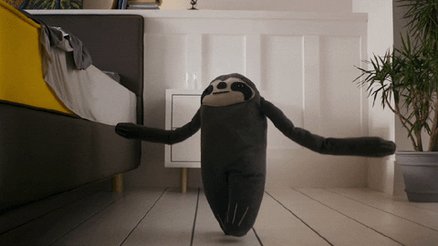 eve sloth teddy