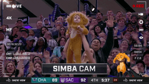 say hello clapping GIF by NBA