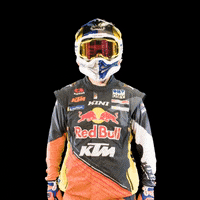 Dakar GIF by Red Bull
