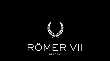 Bregenz GIF by RÖMER VII
