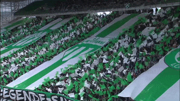 fans atmosphere GIF by AS Saint-Etienne