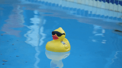 Rubber Duck Gifs Get The Best Gif On Giphy Rubber Duck Gifs Get The Best Gif On Giphy