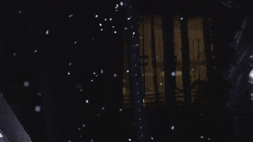 Lyric Opera of Chicago GIF