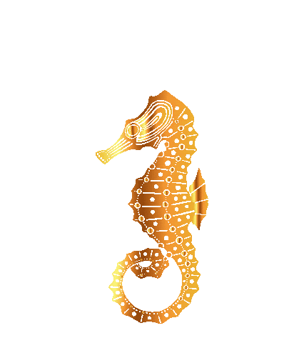 Beauty Beach Sticker by DLuchi