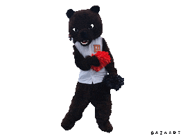 Gobears Sticker by Materlakesacademy