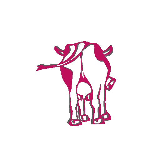 Maisalm Sticker