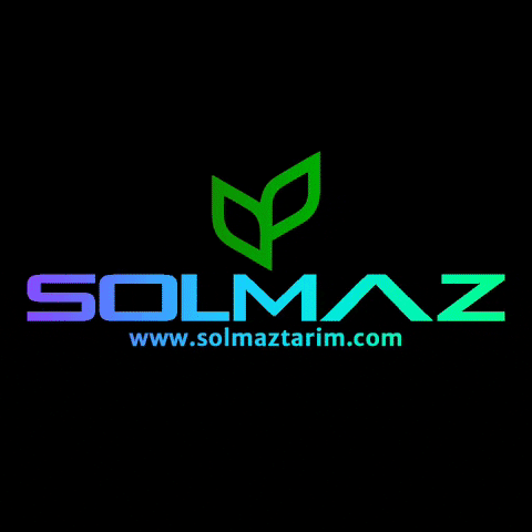 sefa mert solmaz GIF