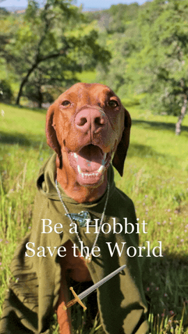 Lord Of The Rings Hobbit GIF