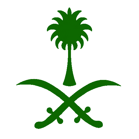 Saudi Arabia Arab Sticker for iOS & Android | GIPHY
