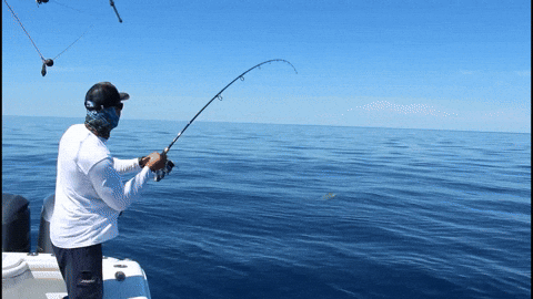 Wherethemapturnsblue GIF by SORD Fishing Products - Find ...