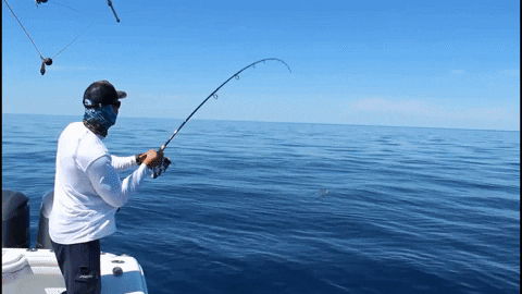 Wherethemapturnsblue GIF by SORD Fishing Products - Find ...