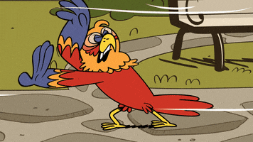 200.gif?cid=fc005b08b4ca2dd4afbedef59f3fd91c80fe622d6d2cf6eb&rid=200.gif&ct=g