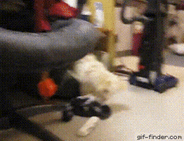 act GIF