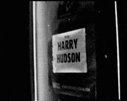 Letme GIF by Harry Hudson