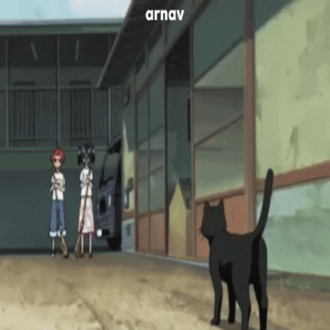 Yoruichi Shihouin GIF