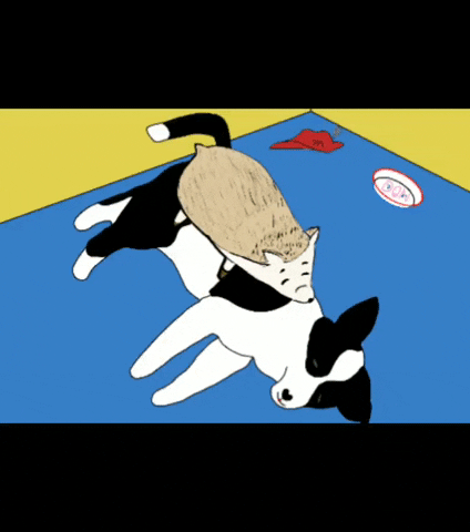 Animated GIF