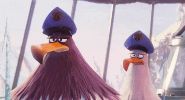 GIF by Angry Birds Movie