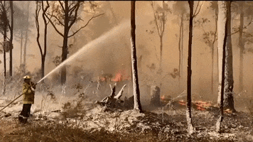 australia wildfires australia fires GIF