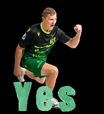 rimparerhandballer GIF