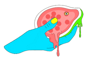 Passion_Fruit Summer Sticker by Danone Belarus