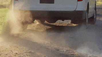Excited Vehicle GIF by The Traitors Australia