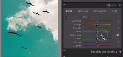Lightroom GIF