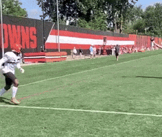 Cleveland Browns Football GIF
