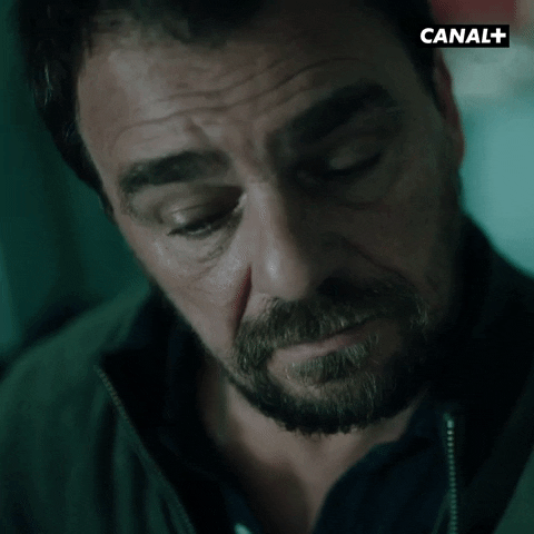 Happy Police GIF by CANAL+