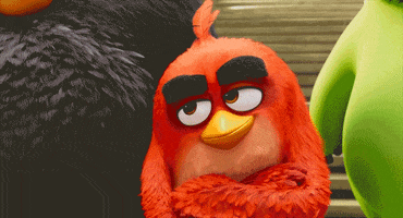 noneforyou GIF by Angry Birds Movie