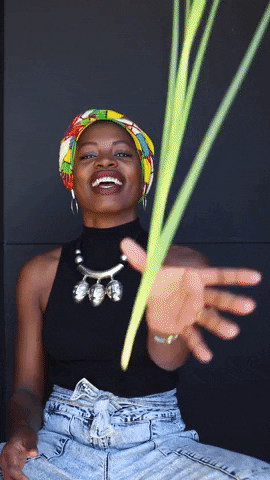 Happy Black Girl GIF by Fanm Djanm - Find & Share on GIPHY