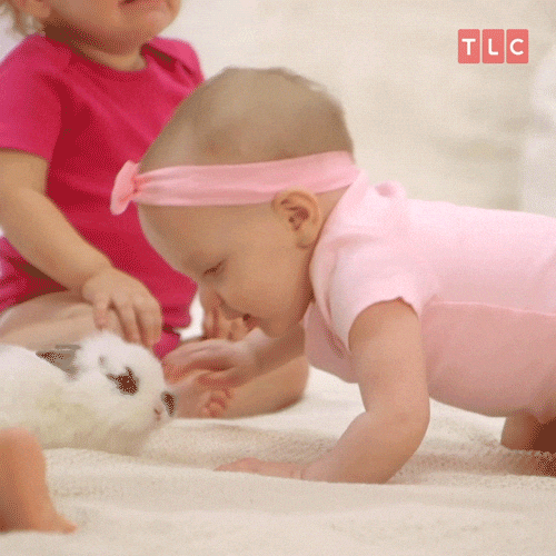 baby kisses bunny