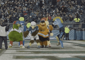 Nfl Mascot GIF by Philadelphia Union