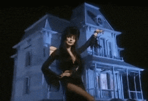 Movie gif. Cassandra Peterson as Elvira in Elvira: Mistress of the Dark. She stands with a hand on her hip and a hand in the air, displaying a two story haunted house while lightning flashes in the back.
