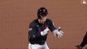 Celebrate Spider-Man GIF by New York Mets