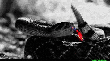 Snake Animation GIFs - Find & Share on GIPHY