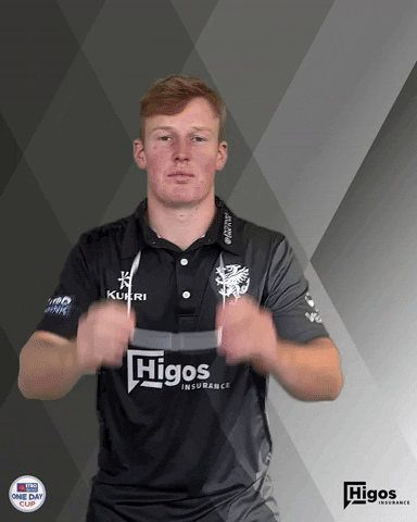 Sun Sunglasses GIF by Somerset County Cricket Club